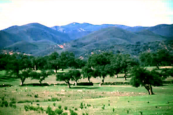 Sierra Morena Spain