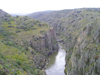 zamora